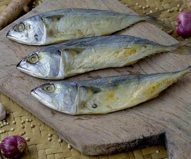 Ikan asin peda | Nusantara Food Biodiversity